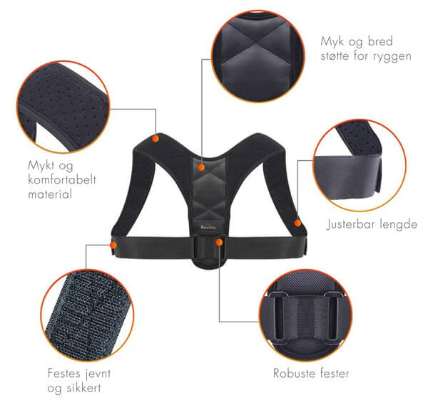 backzter holdningsvest 5 fakta